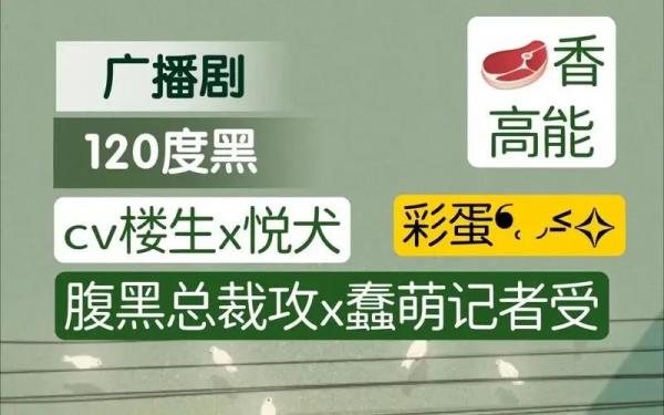 高能耳机系列《120度黑》广播剧免费听完整版未删减资源（悦犬x楼生）