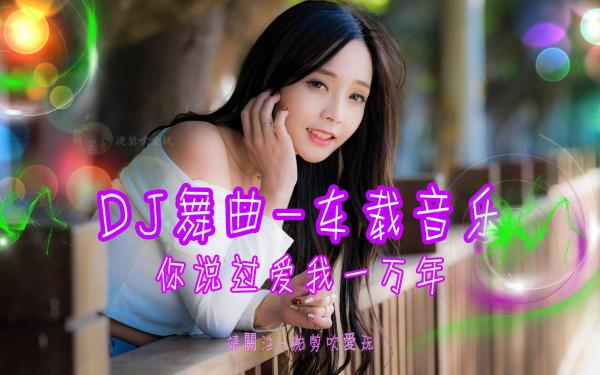 车载歌曲精选中文DJ流行抖音神曲网络热门歌曲无损音乐MP3百度网盘下载